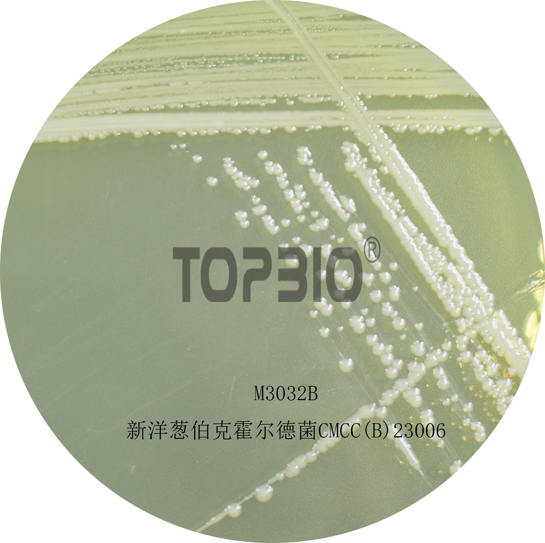 �����[���˻����¾�CMCC(B)23006��M3032�����B(y��ng)40-48h�ľ�������